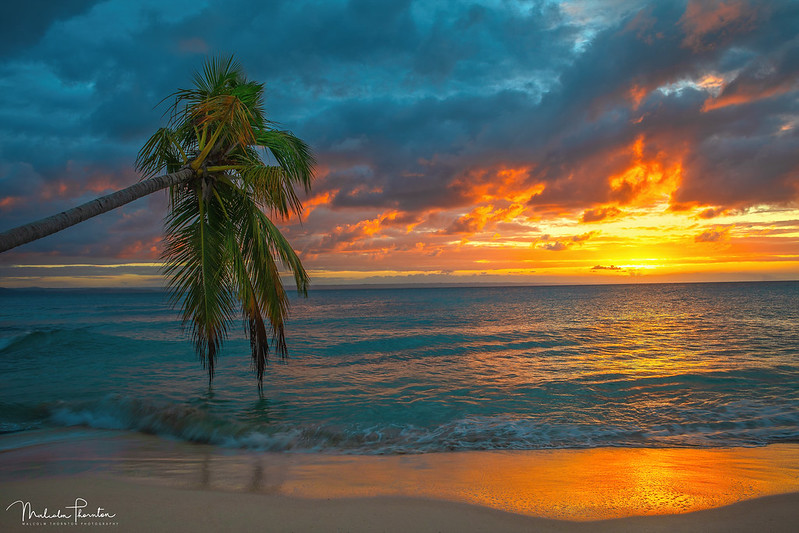 Playa Cayo Levantado