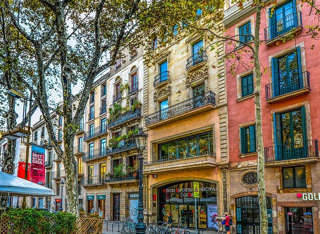 barcelona-spain-facade-tree-street-2088158