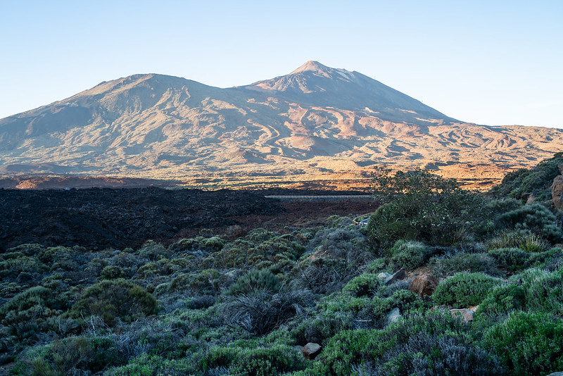 Canary island, El Medano. Tenerife, Spain