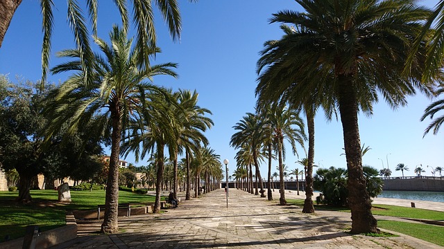 palma-de-mallorca-passeig-dalt-murada-3794232