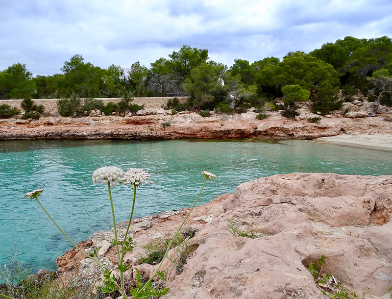 Cala Gracioneta, Ibiza.