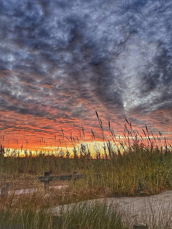 Playa de Pinedo (Valencia)