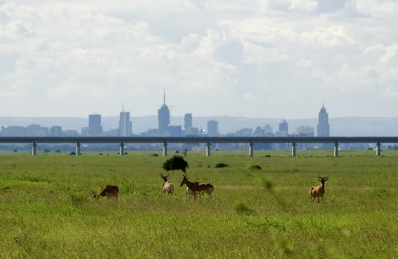 Nairobi National Park, Chinese built Nairobi to Mombasa Expressway, Nairobi City, Kenya