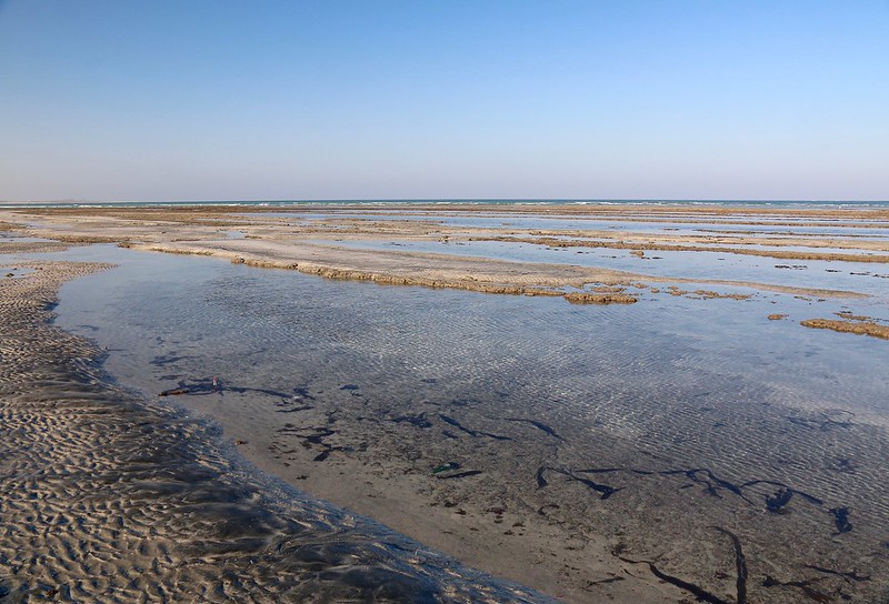 Beach combing, Masirah Island, Oman