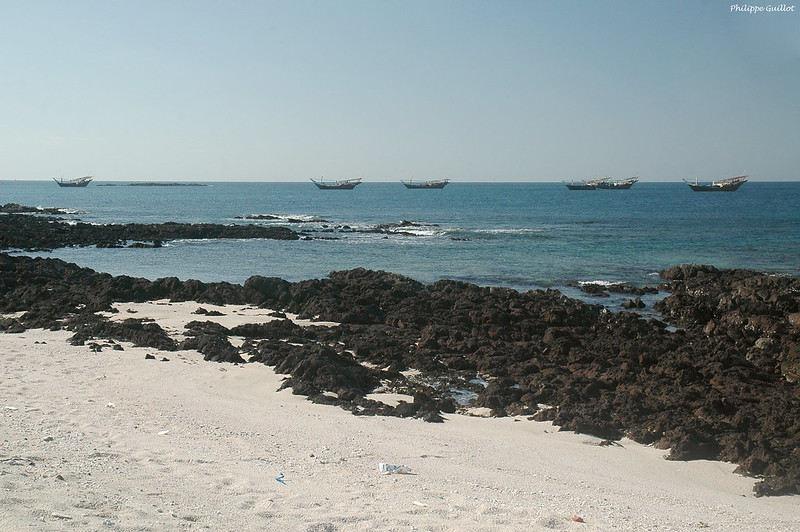 Boutres à l'ancre sur la côte de l'île de Masirah