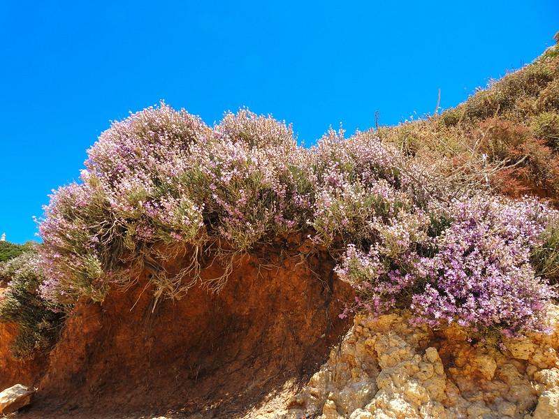 Portimao : Praia dos Três Irmãos